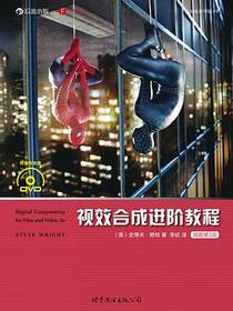 视效合成进阶教程（插图第3版）