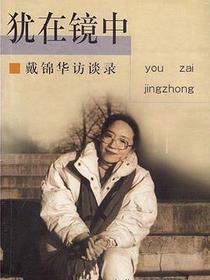 犹在镜中