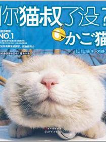 你猫叔了没
