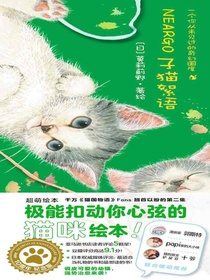 子猫絮语