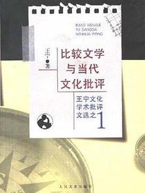 比较文学与当代文化批评