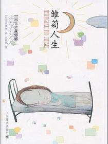 雏菊人生
