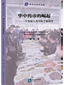 华中药市的崛起