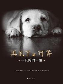 再见了，可鲁