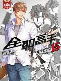 全职高手 15
