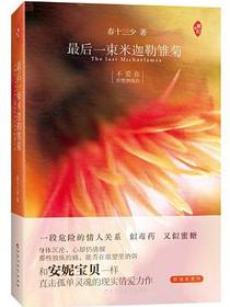 最后一束米迦勒雏菊