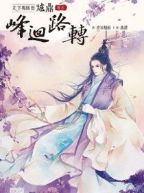天下男修皆爐鼎 卷五