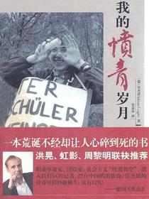 我的愤青岁月