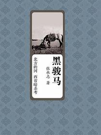 黑骏马