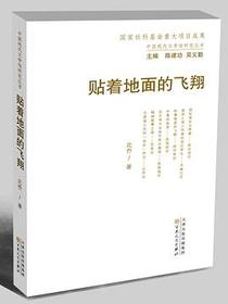 贴着地面的飞翔