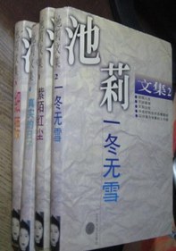 池莉文集
