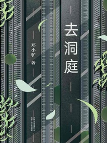 去洞庭