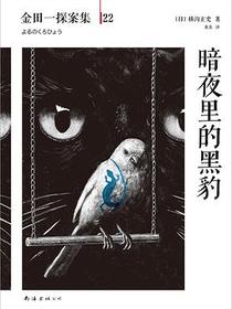 暗夜里的黑豹