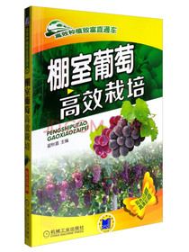 棚室葡萄高效栽培