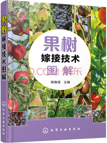 果树嫁接技术图解（双色印刷、图片丰富、实用）
