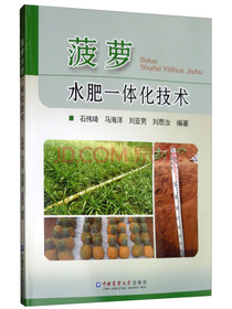 菠萝水肥一体化技术