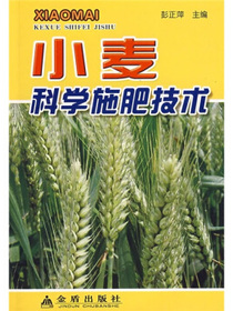 小麦科学施肥技术