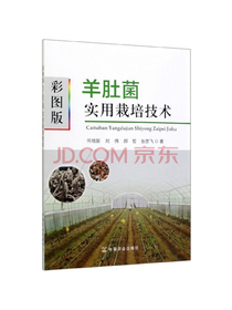 彩图版羊肚菌实用栽培技术