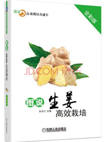 图说生姜高效栽培（全彩版）