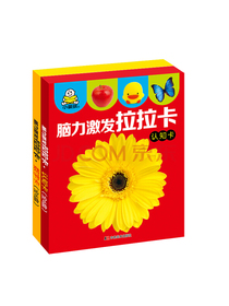 脑力激发拉拉卡数字卡认知卡套装2册
