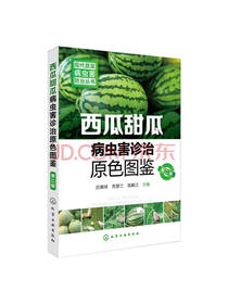 现代蔬菜病虫害防治丛书