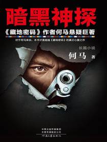 暗黑神探
