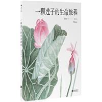 一颗莲子的生命旅程