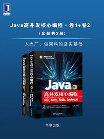 Java高并发核心编程（共二册）