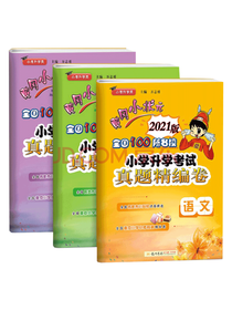 小学升学考试真题精编卷套装