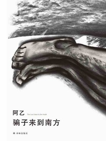 骗子来到南方（阿乙作品）