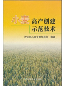 小麦高产创建示范技术