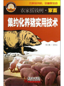农家摇钱树·家畜：集约化养猪实用技术