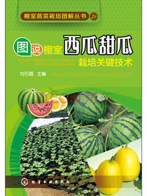 棚室蔬菜栽培图解丛书--图说棚室西瓜甜瓜栽培关键技术（图说棚室西瓜甜瓜栽培关键技...
