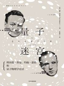 量子迷宫