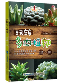 玩转多肉植物