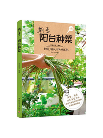 新手阳台种菜