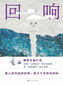 东西长篇力作：回响（余华、冯小刚、陈建斌倾情推荐）