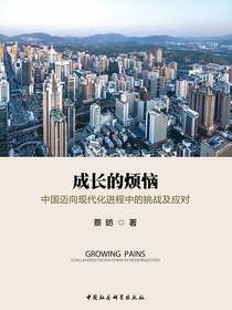 成长的烦恼：中国迈向现代化进程中的挑战及应对