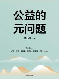 公益的元问题