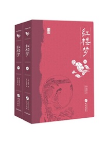 红楼梦