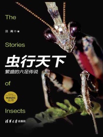 虫行天下：繁盛的六足传说