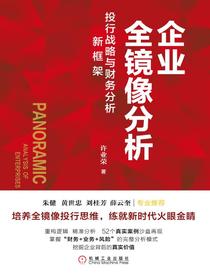 企业全镜像分析：投行战略与财务分析新框架