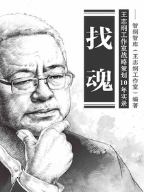 找魂：王志纲工作室战略策划10年实录