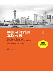中国经济发展案例分析