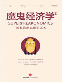 魔鬼经济学2：拥有清晰思维的艺术