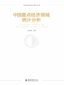 中国重点经济领域统计分析