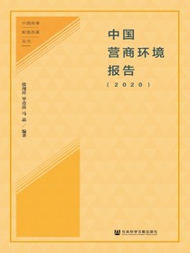 中国营商环境报告（2020）