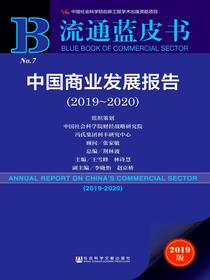中国商业发展报告（2019～2020）（流通蓝皮书）
