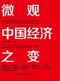 微观中国经济之变