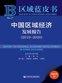 中国区域经济发展报告（2019～2020区域蓝皮书）